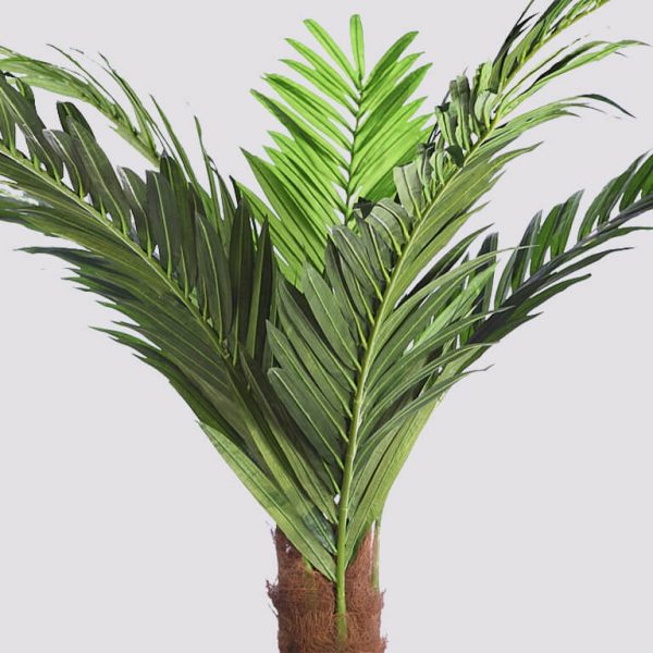 Palmera Artificial Oil X 8, Alt 264Cm - Imagen 3