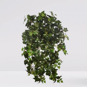 Mata Hiedra Artificial 70Cm