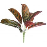 Planta Difembachia Artificial 35Cm