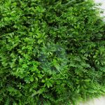 Placa Helechos Artificial 60Cmx40Cm - Imagen 3