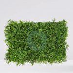 Placa Vegetal Hojas Y Brotes 60Cmx40Cm