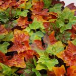 PLACA HIEDRA OTOÑAL ARTIFICIAL 50CMX50CM - Imagen 2