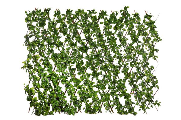 Y0401.10.jpg Celosia Vegetal Artificial Hojas 110Cm - Imagen 1