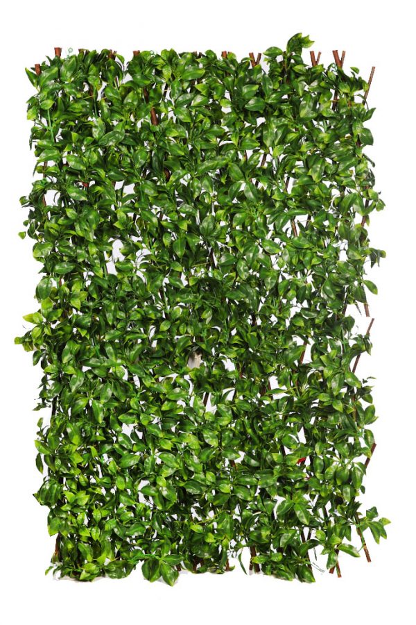 Celosia Vegetal Artificial Hojas 110Cm - Imagen 2