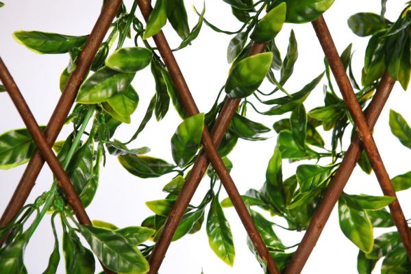 Celosia Vegetal Artificial Seto 110Cm - Imagen 3