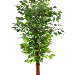 FICUS ARTIFICIAL ARBOL 145CM