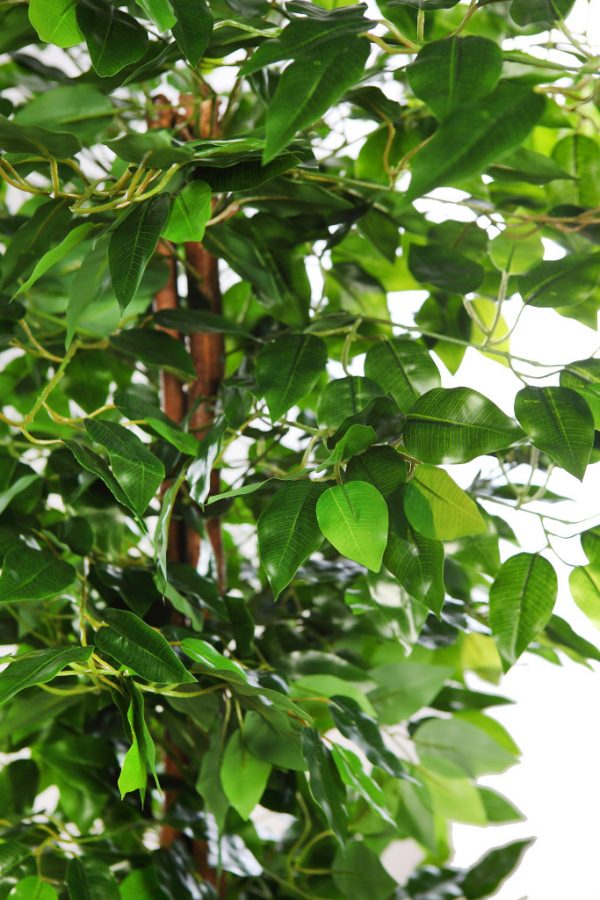 Y0405.10X36_2.jpg ARBOL ARTIFICIAL FICUS 190CM - Imagen 2