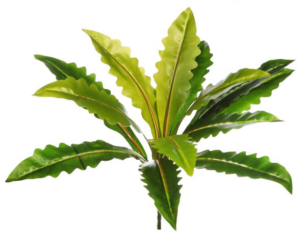 Y0418.10.jpg MATA ASPLENIUM ARTIFICIAL 40CM - Imagen 1