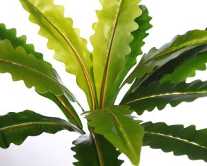 MATA ASPLENIUM ARTIFICIAL 40CM - Imagen 2
