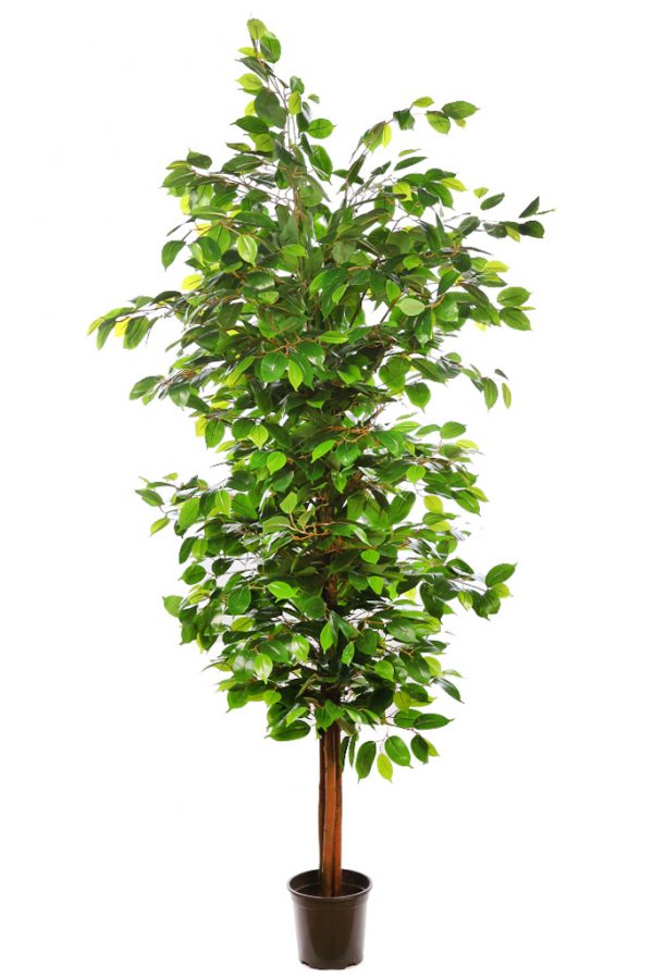 Arbol Artificial Ficus Religiosa 185Cm - Imagen 1