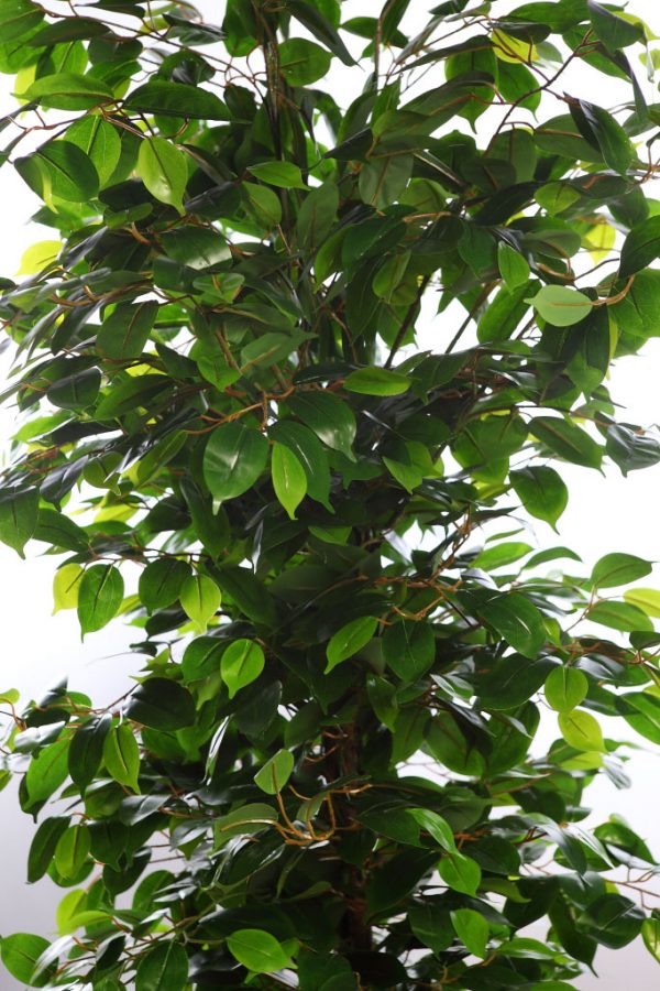 Arbol Artificial Ficus Religiosa 185Cm - Imagen 2