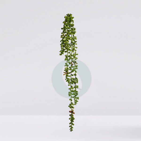 Mata Colgante Crasa 58Cm - Imagen 1