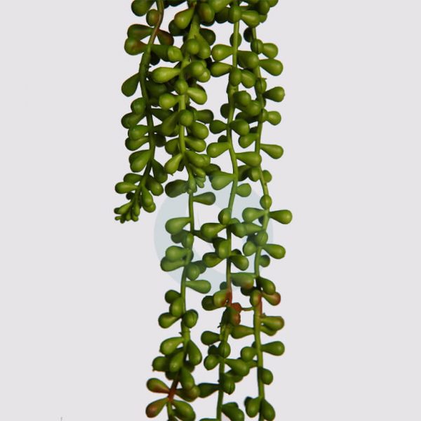 Mata Colgante Crasa 58Cm - Imagen 2