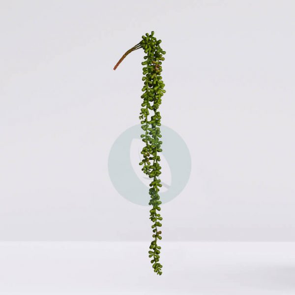 Mata Colgante Crasa 58Cm - Imagen 3