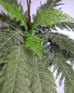 PLANTA DE HELECHO ARTIFICIAL 48CM - Imagen 2