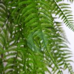 HELECHOSA COLGANTE ARTIFICIAL 110CM - Imagen 2