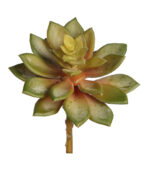 PLANTA CRASA ECHEVERIA ARTIFICIAL 13CM