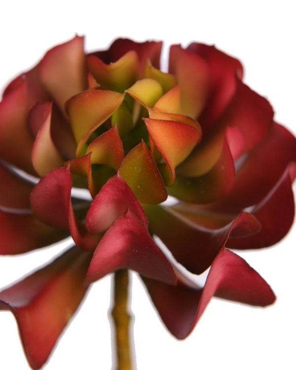 Crasa Elegance Echeveria Artificial 16Cm - Imagen 2