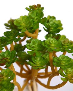 Suculenta Echeveria Artificial 13Cm - Imagen 2