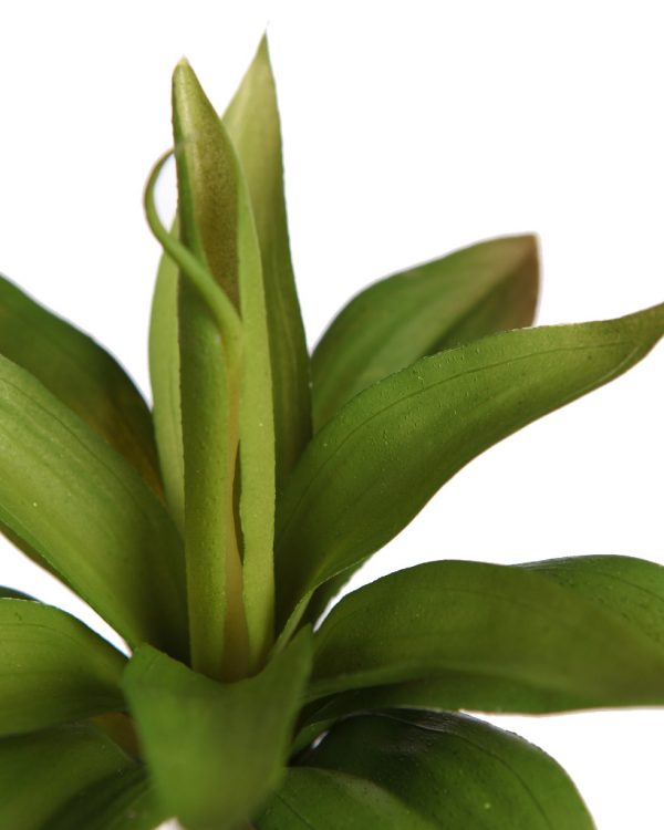 Y0640.10_2.jpg Planta Suculenta Sirius Artificial 20Cm - Imagen 2