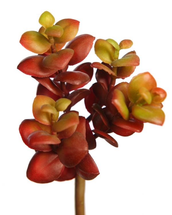 Planta Sedum Suculenta Artificial 17Cm - Imagen 2