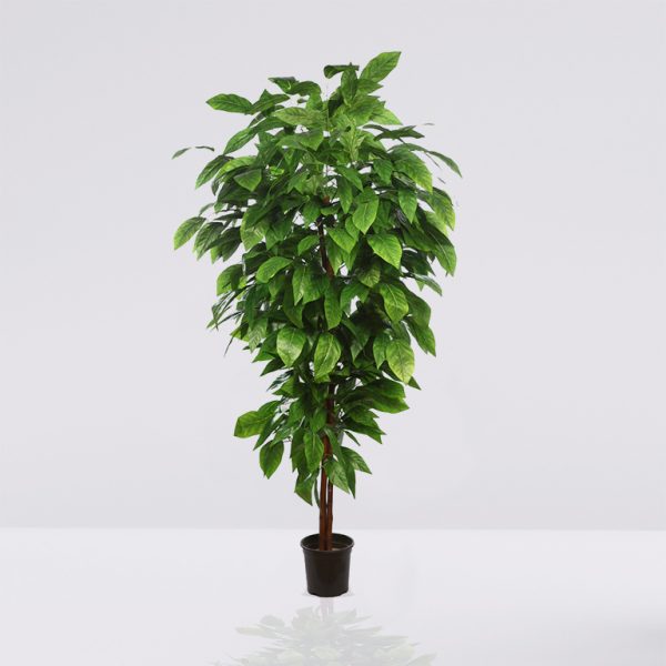 Monstera plant in pot isolated on white background. Minimal trop arbol artificial mango hoja ancha