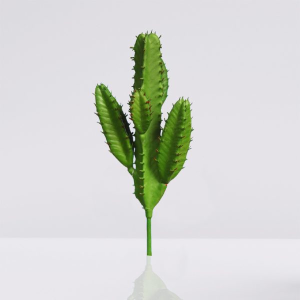 cactus sanpedro mini 19