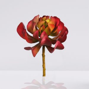 crasa elegance echeveria artificial 16