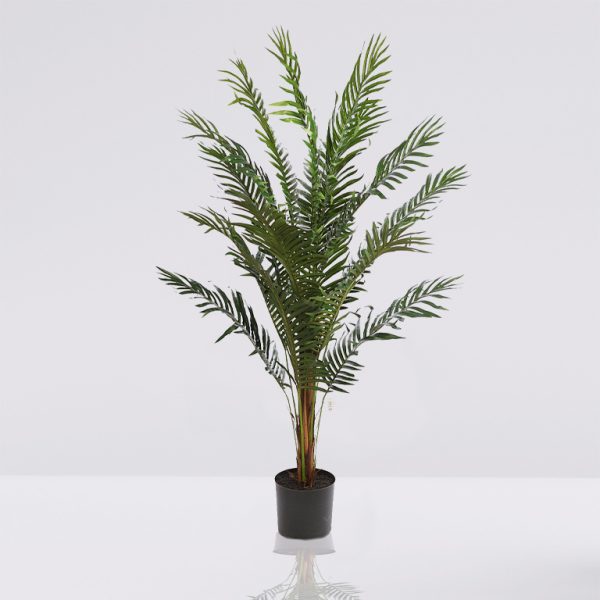 Monstera plant in pot isolated on white background. Minimal trop palmera artificial paradise
