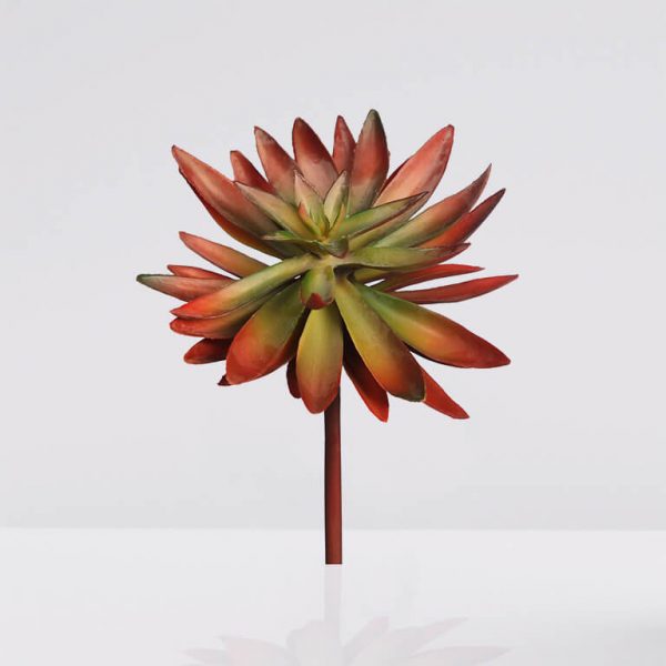 planta-crasa-echeveria-hookeri-artificial Planta Crasa Echeveria Hookeri artificial de 17cm de altura