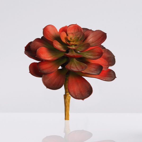 Planta Suculenta Echeveria artificial 16cm