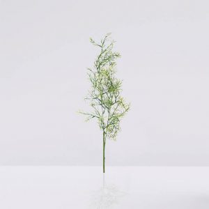 vara springeri artificial