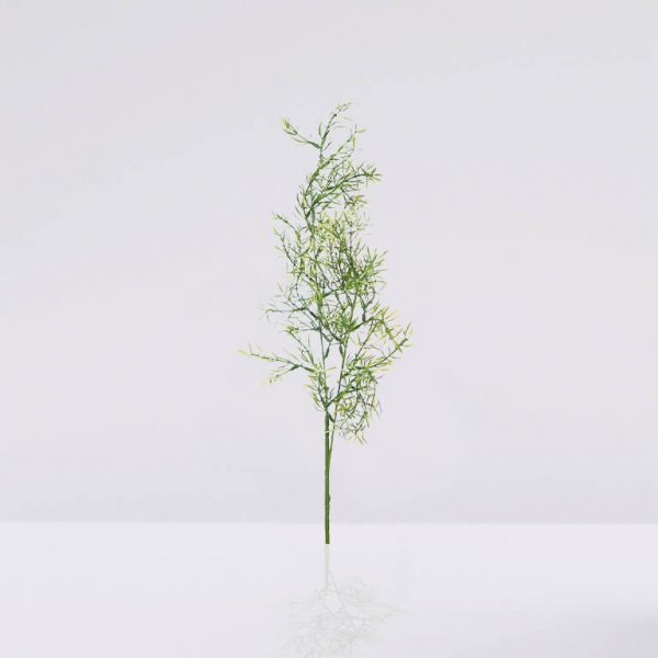 vara springeri artificial