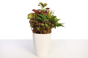 JARDINERA SUCULENTAS ARTIFICIAL 32CM - Imagen 3