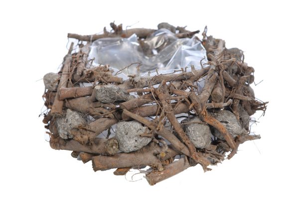 nido ramas de madera y piedra nido ramas de madera y piedra