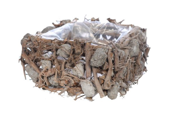 base nido ramas y piedras base nido ramas y piedras