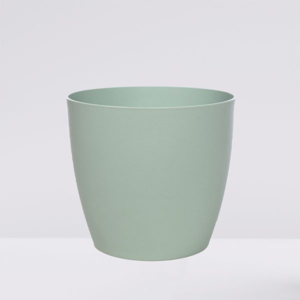 Monstera plant in pot isolated on white background. Minimal trop maceta plastico 11cm