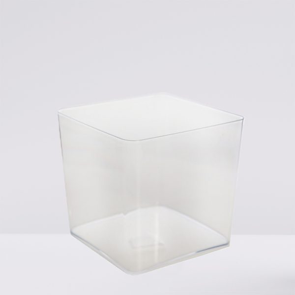 Monstera plant in pot isolated on white background. Minimal trop maceta plastico transprente