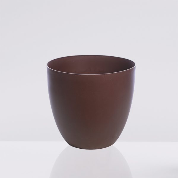 Monstera plant in pot isolated on white background. Minimal trop macetero cuento tes marron