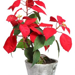 Maceta De Pascuero Artificial, 56 Cm