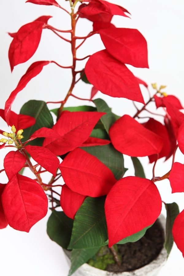 Maceta De Pascuero Artificial, 56 Cm - Imagen 2