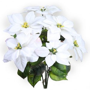 POINSETTIA PASCUERO X7 FLORES, 51CM