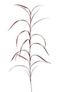 VARA RAMAJE NAVIDAD 140CM