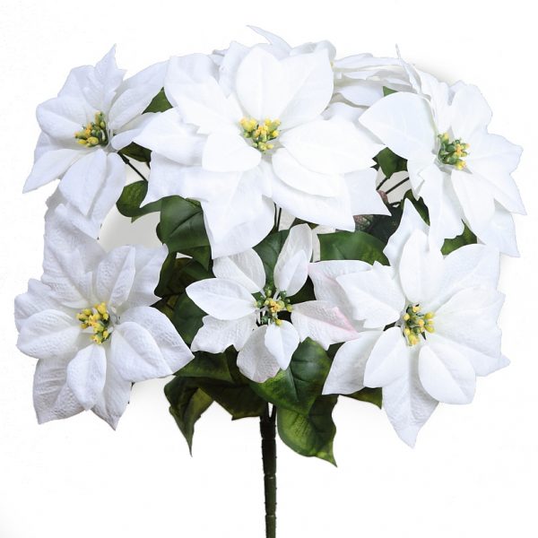 Poinsettia Pascuero X9 Flores, 53CM - Imagen 1