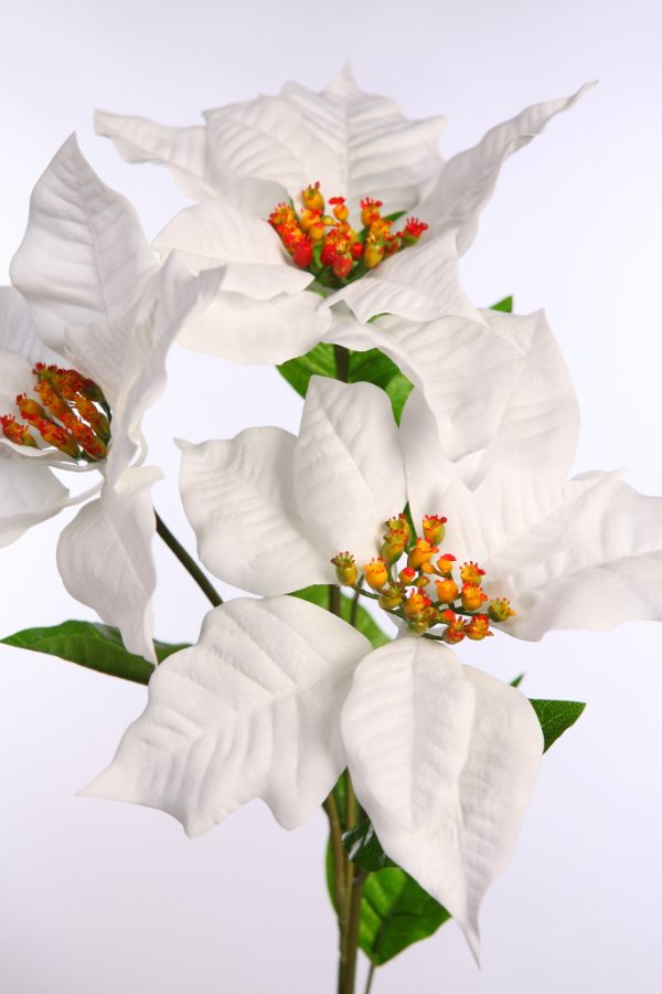 Rama Flor De Pascua 72Cm - Imagen 3