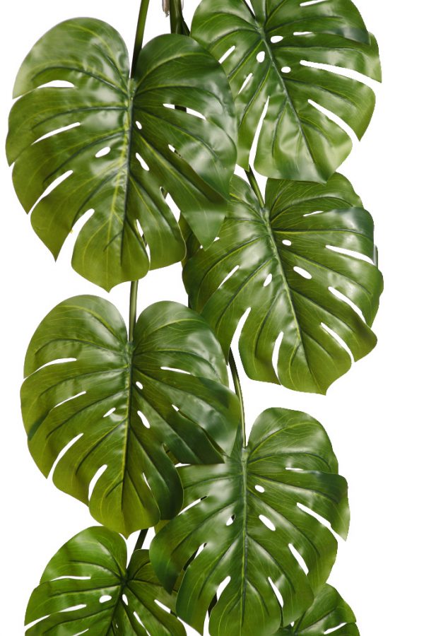 Liana Hojas De Monstera Artificial 130Cm - Imagen 2