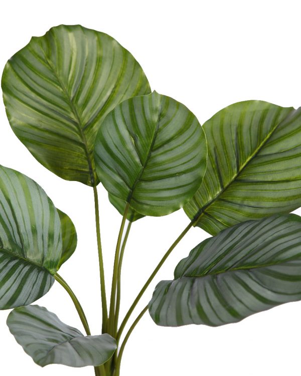 Planta Calathea Artificial 46Cm - Imagen 2