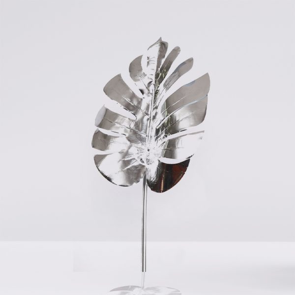 Monstera plant in pot isolated on white background. Minimal trop hoja monstera