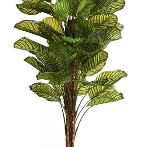 CALATHEA ARTIFICIAL EN MACETA 150CM ANCHO 70CM