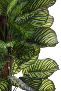 CALATHEA ARTIFICIAL EN MACETA 150CM ANCHO 70CM - Imagen 2